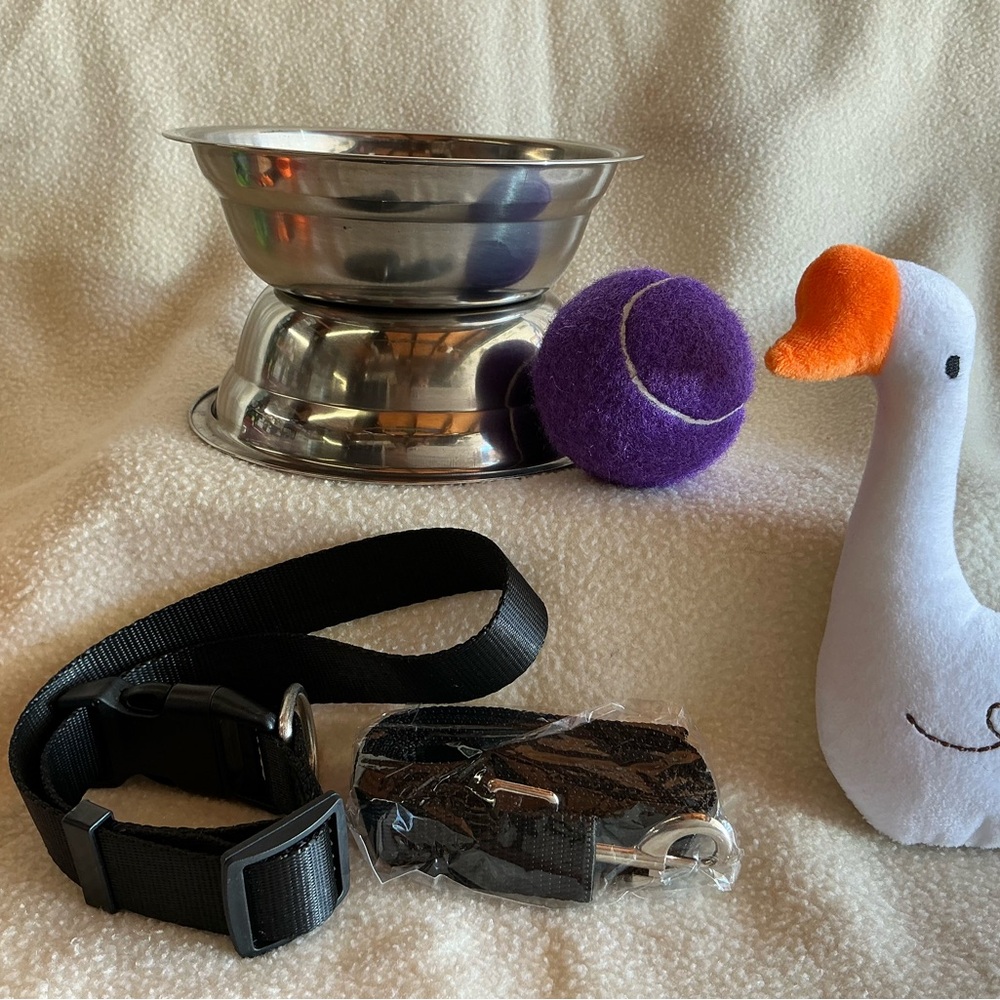 6 piece Pet Toy and Accessory